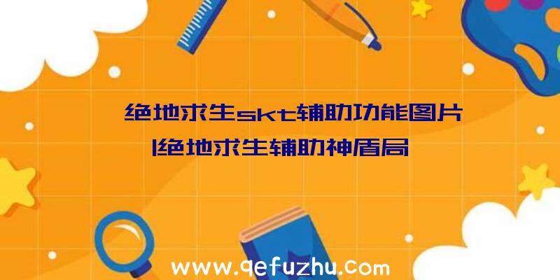 「绝地求生skt辅助功能图片」|绝地求生辅助神盾局